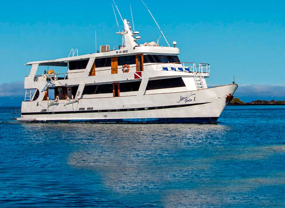 CRUCEROS-GO-G5