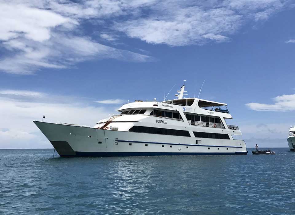 CRUCEROS-GO-G6