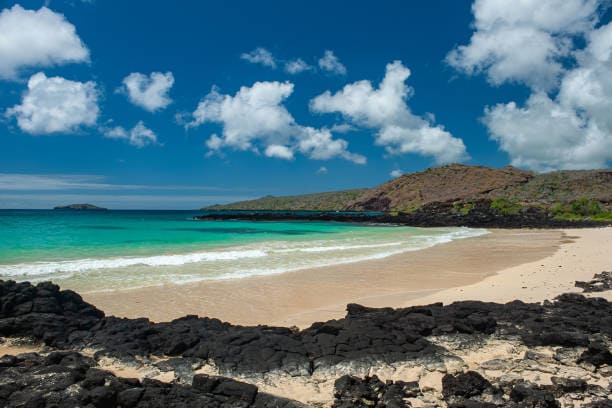 Punta Cormoran