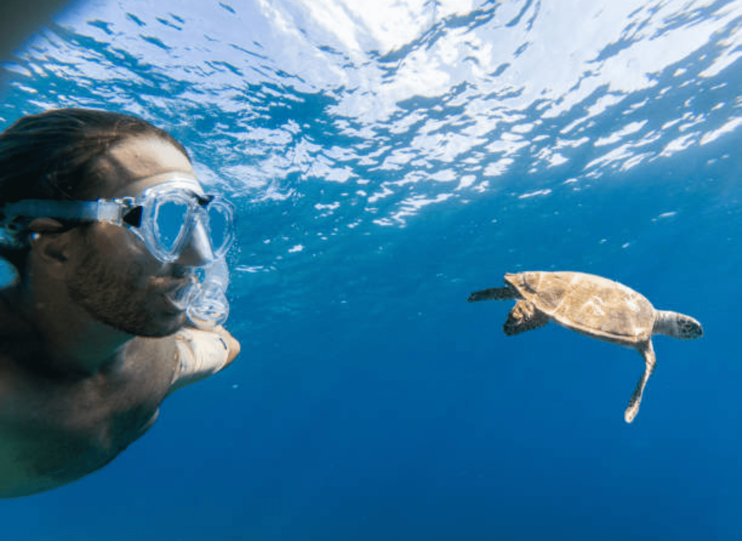 Snorkel-Go-Pinzon (1)