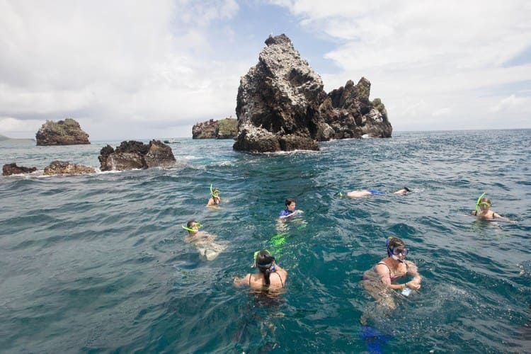 Snorkel-Punta Cormoran