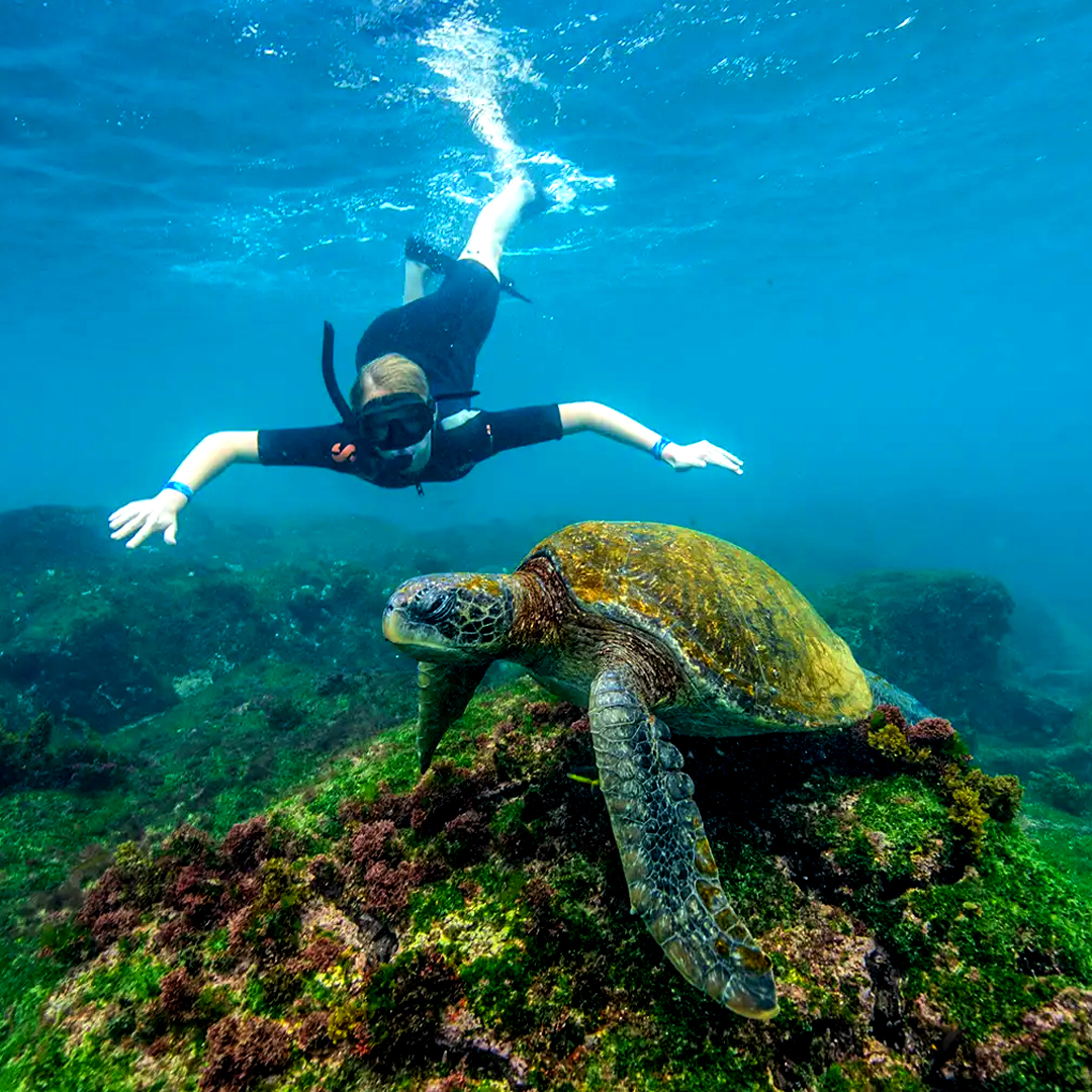 Buceo_Galapa-go tour