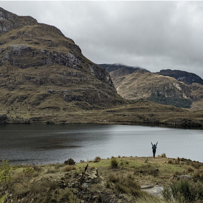 Cajas-1