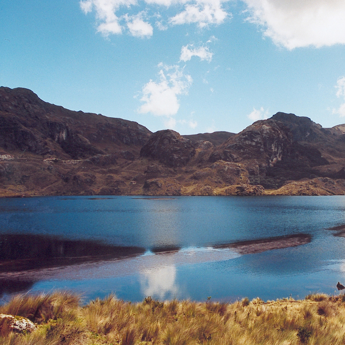 Cajas-3