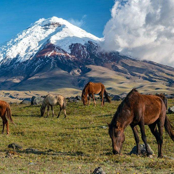 Cotopaxi-2
