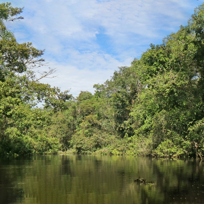 Cuyabeno-1