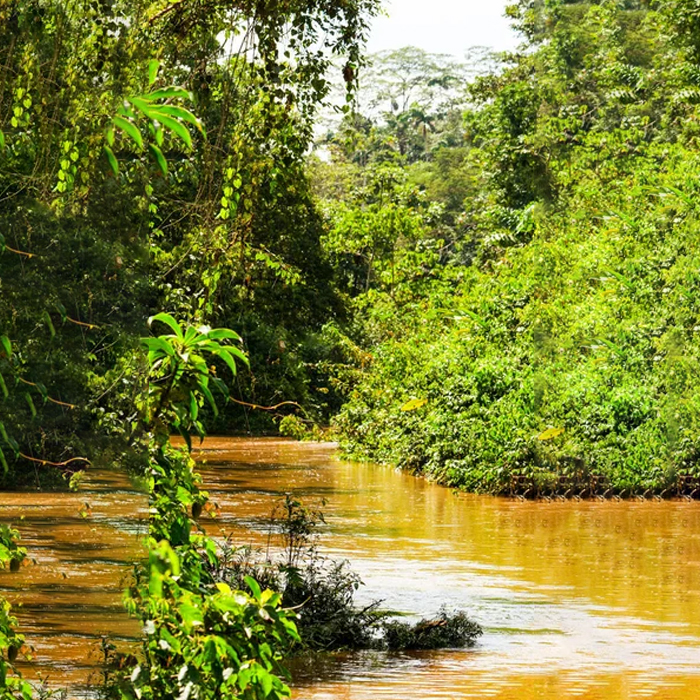 Huaorani-2