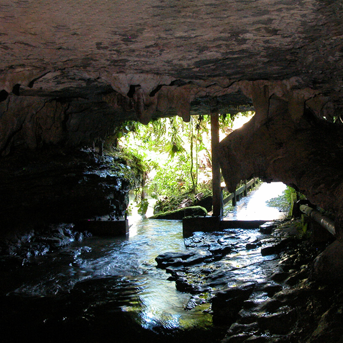 TAYOS-1