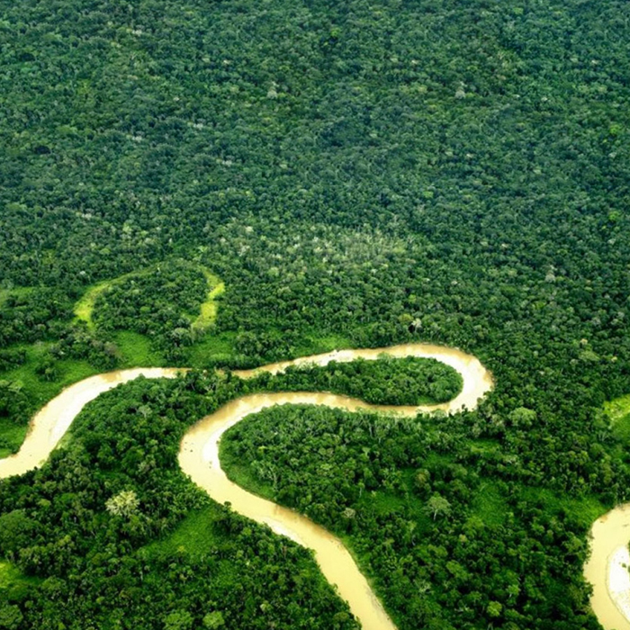 YASUNI-2
