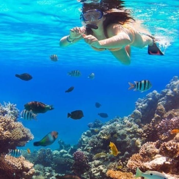 Loberia Snorkel Floreana (1)