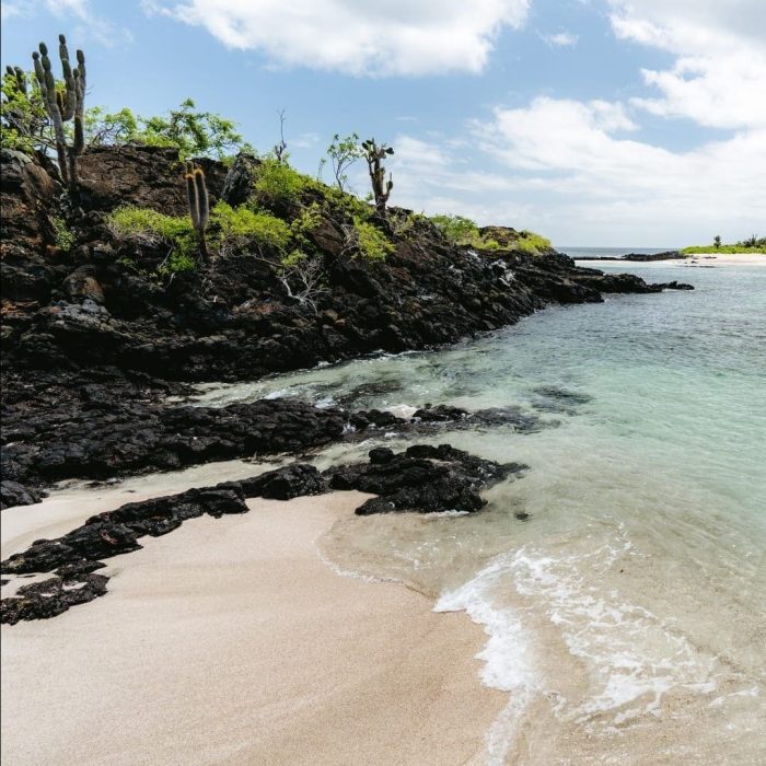 Playa Isla Floreana (1)