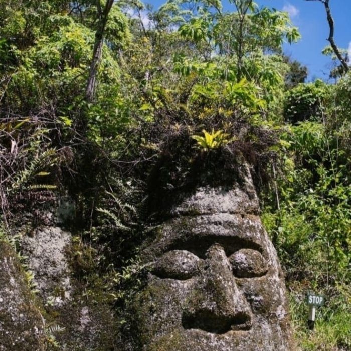 Roca Cara del Indio (1)